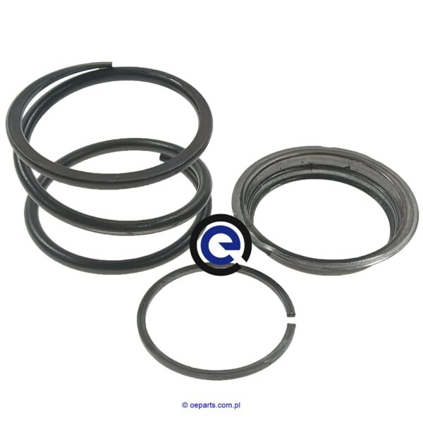 Compression spring 0732041496 Spring