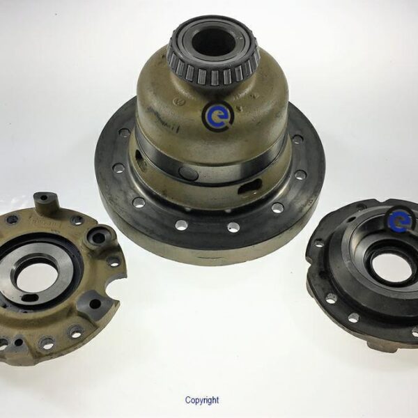 DIFFERENTIAL MECHANISM