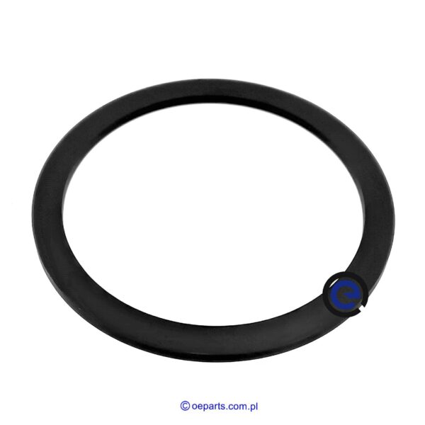 Profildichtring F824100360120 Fendt