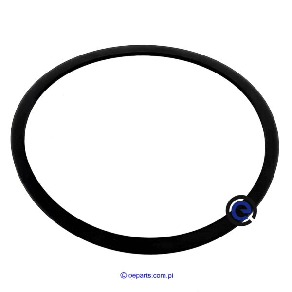 Fendt F824100360630 profile O-ring