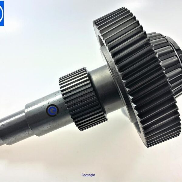 SPUR GEAR+SHAFT